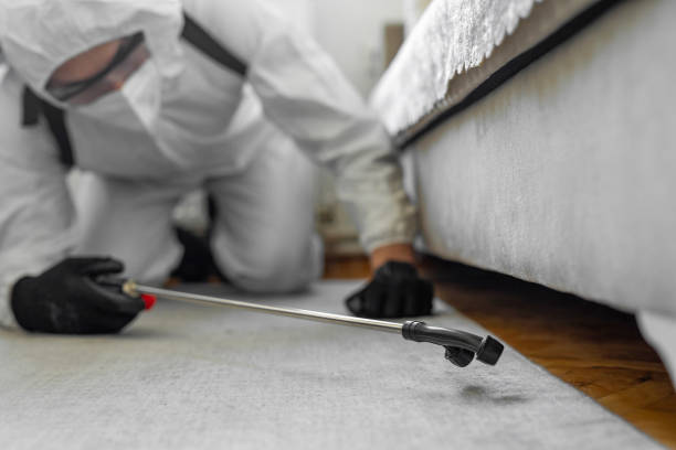 Professional Bed Bug Control technician working in Blue Rapids, KS
